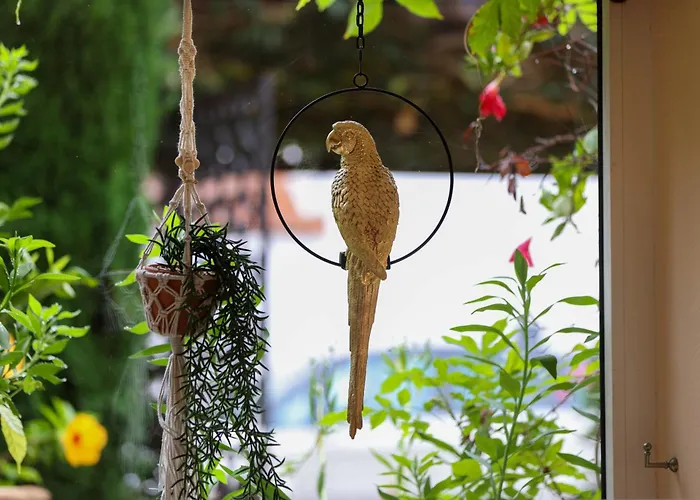 Hôtel Jacuzzi: Hôtel Sainte Valérie